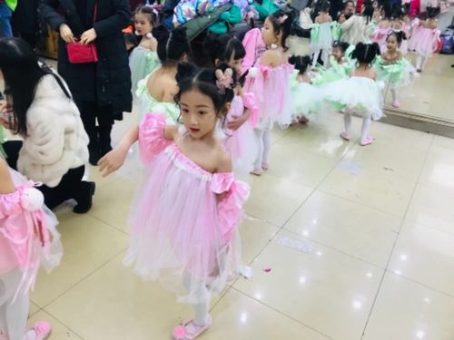 曼麗少兒舞蹈與淘學培訓 兒童舞蹈表演服務(wù)全面解析